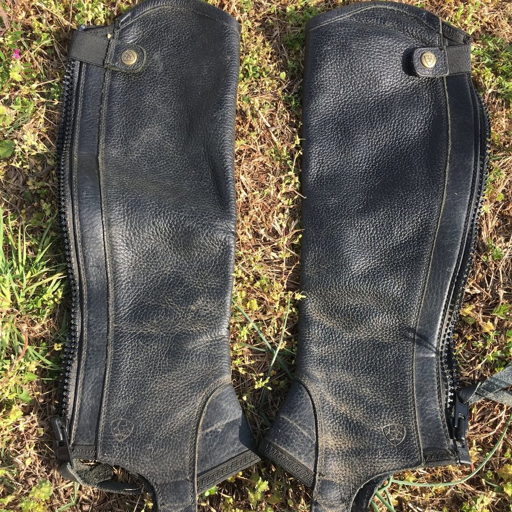 Ariat Concord Half Chap